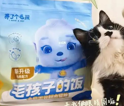 粮！三只松鼠靠什么重返宠物食品赛道开元棋牌试玩零食巨头盯上毛孩子口(图4)
