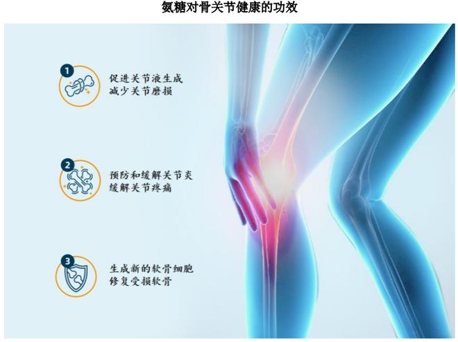 根运动健康赛道凭多元布局赢长远未来开元棋牌HMB全球龙头技源集团：扎