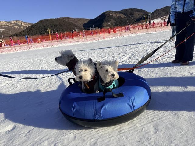 开幕 打造京津冀文旅休闲新地标开元棋牌北京平谷第十七届冰雪季(图2)